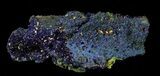 Sparkling Azurite Crystal Cluster with Malachite - Laos #69707-2